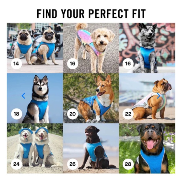 Canada Pooch Chill Seeker Cooling Vest - Rainbow - Size 16 - Picture 15 of 16